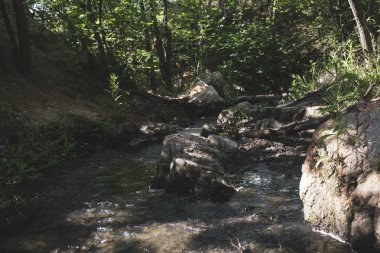 Akan su. Taşlar ve ağaçlar arasında. Yan görünüm. Metin için bir yer var. Arka plan, afiş, kartpostal.