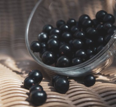 Şeffaf bir fincan siyah frenk üzümü yakın çekim. Metin, kopyalama alanı için bir yer var. Arka plan, afiş, kartpostal.