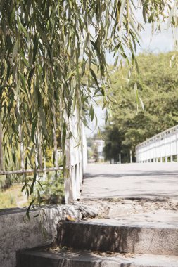 Köprünün yan görünümü. ön planda yeşil yaprakları. Doğal arka plan. Çerçeve. Metin için bir yer var.