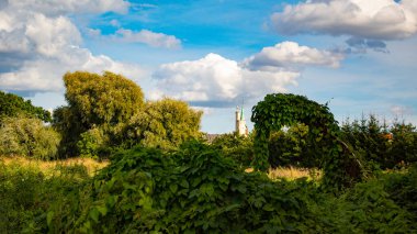 Güzel manzara. Mavi gökyüzüne karşı yeşil ağaçlar.