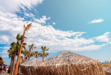 Palmiye ağaçları, saman şemsiyeleri ve manzaralı gökyüzü ile yaz tropikal arka plan