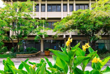 Tropikal yeşilliği olan gündüz şehri 