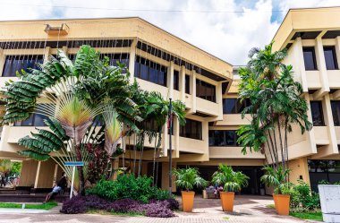 Tropikal yeşilliği olan gündüz şehri 