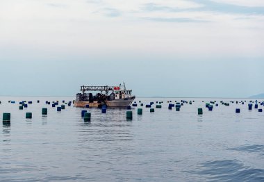 Akşamları balıkçı teknesi olan midye çiftliği.