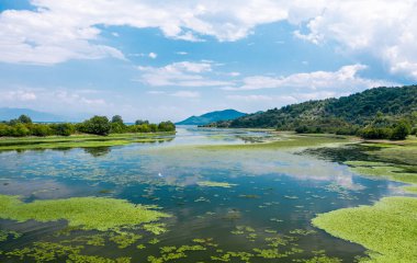 Yunanistan 'ın Kerkini Gölü Milli Parkı' nın güzel manzarası