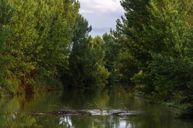 Yağmurlu bir günde nehir manzaralı kırsal alan