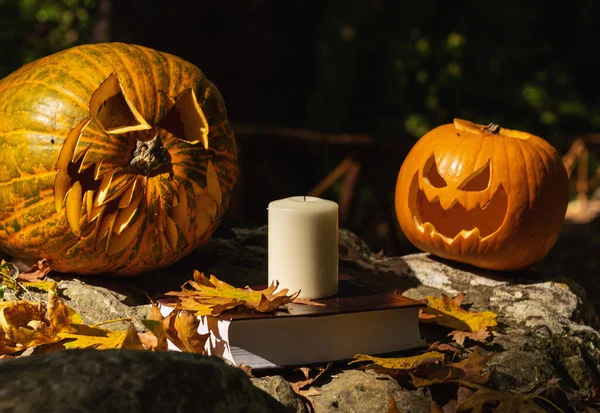 阅读有关万圣节概念的书籍 在大自然的背景下 在书架上挂上蜡烛 在秋天的树叶上雕刻南瓜 — 图库照片