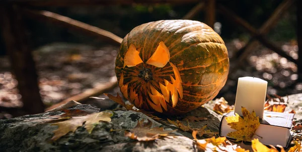 Halloween Rzeźbione Pumpkin Świecące Ciemnym Tajemniczym Lesie Jack Latarnia Wakacje — Zdjęcie stockowe