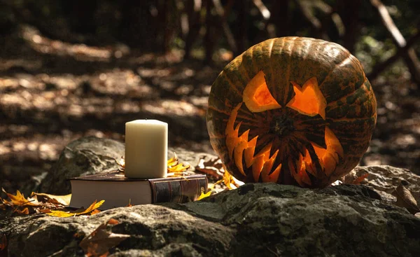 Halloween Rzeźbione Pumpkin Świecące Ciemnym Tajemniczym Lesie Jack Latarnia Wakacje — Zdjęcie stockowe