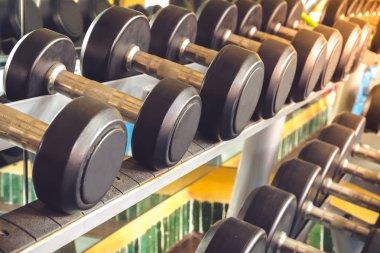 Dumbbell egzersiz için düzgünce spor salonunda düzenlenen.
