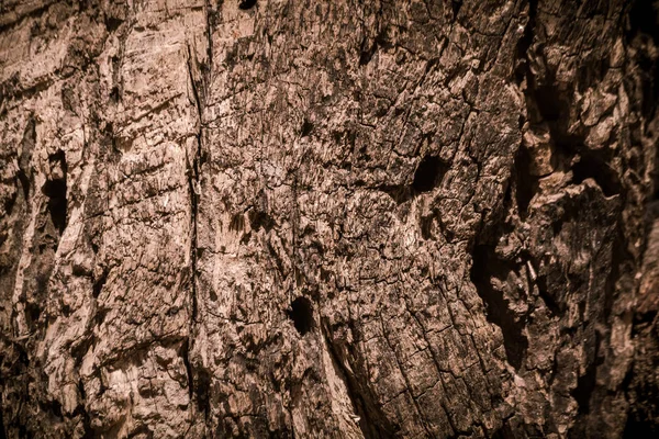 Powierzchnia Suchego Drewna Brunatnego Ulega Rozkładowi Pęknięcia Wykorzystywane Obrazu Tła — Zdjęcie stockowe