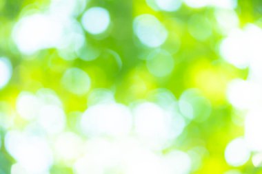 Soyut arkaplan Doğal yeşil bokeh