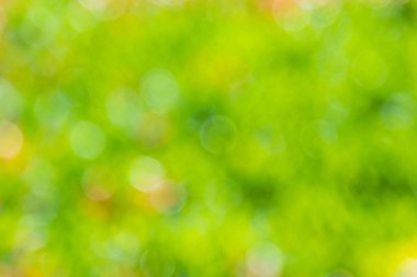 Bokeh arkaplan Doğal ışık, yeşil, sarı bulanık