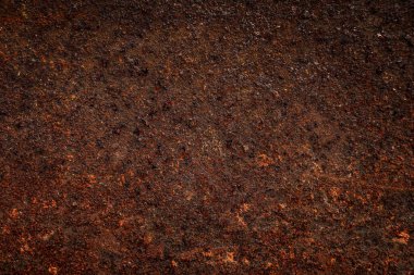 Özgeçmiş olarak kullanılan pasın dokusu ve detayları.