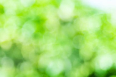 Bokeh arkaplan Doğal ışık, yeşil, sarı bulanık