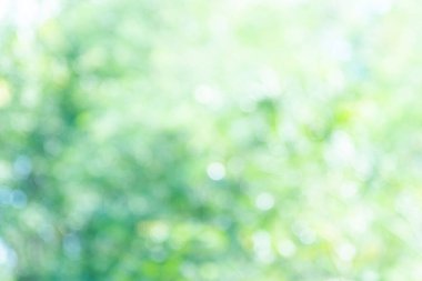 Bokeh arkaplan Doğal ışık, yeşil, sarı bulanık