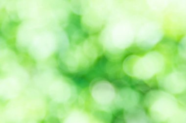 Bokeh arkaplan Doğal ışık, yeşil, sarı bulanık