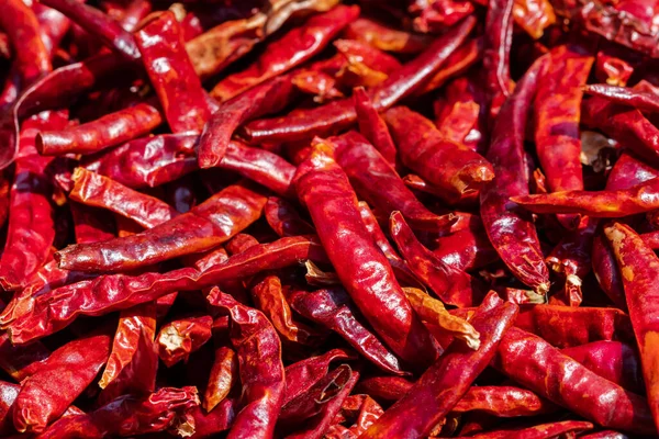 Muchos Pimientos Rojos Secos Vista Cercana — Foto de Stock