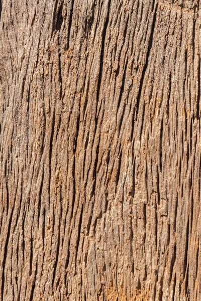 Struttura Legno Uno Sfondo — Foto Stock