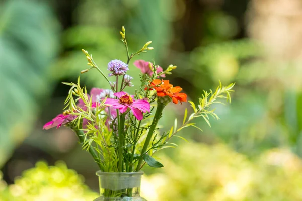 Gerbera Fiori Vaso Ornati Bellissimi Colori Vintage Usati Come Sfondo — Foto Stock