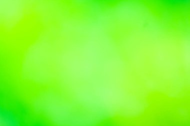 Doğal ışıktan bulanık, yumuşak yeşil ve güzel renkler.