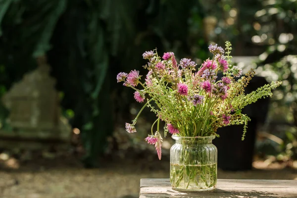 在花瓶中装饰有美丽色彩的德国花 用作背景 — 图库照片