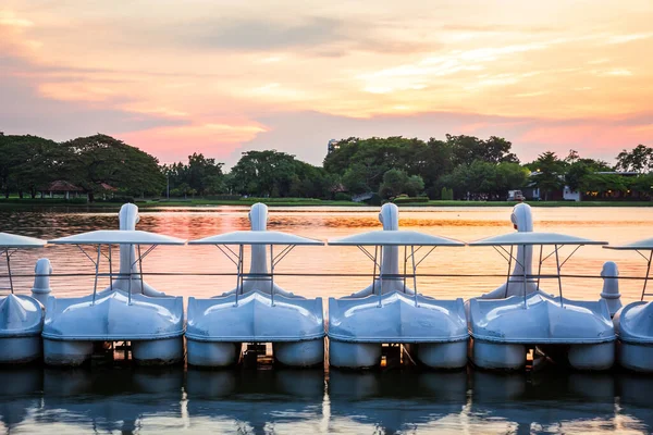 Fila Botes Pedal Cisne Blanco Girando Agua Lago Parque Público — Foto de Stock