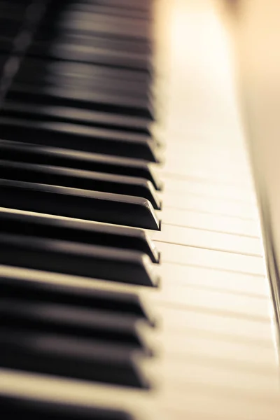 Piano and keyboard piano, Music instrument. Black and white key. side view of instrument musical tool.