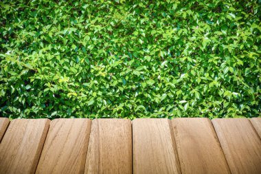 Ahşap masanın yüzeyi yeşil arka planda izole edilmiş. Ev dekorasyonu ve bahçe dekorasyonu için.