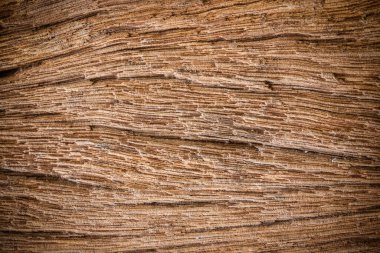 Çürük ahşap, kırık desenli, yıpranmış vignette grunge dokusu arka plan için