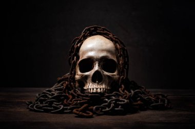 Still life of human skull that died for a long times ,concept of horror or thriller movies of scary crime scene ,Halloween theme, visual art clipart