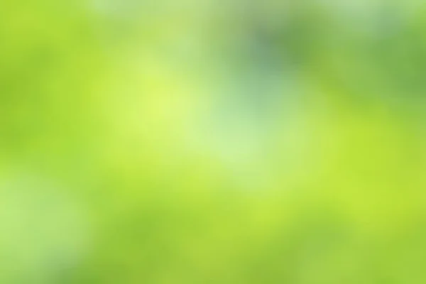 Yeşil Bulanık Arkaplan Soyut Işık Gradyanı Bokeh Doğal Metin Girdisi — Stok fotoğraf