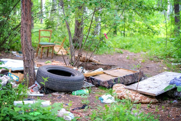 Garbage in forest. People illegally thrown garbage into forest. Concept of man and nature.
