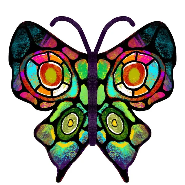 Mariposa. La mariposa multicolor, pintada. Ilustración de insectos — Foto de Stock