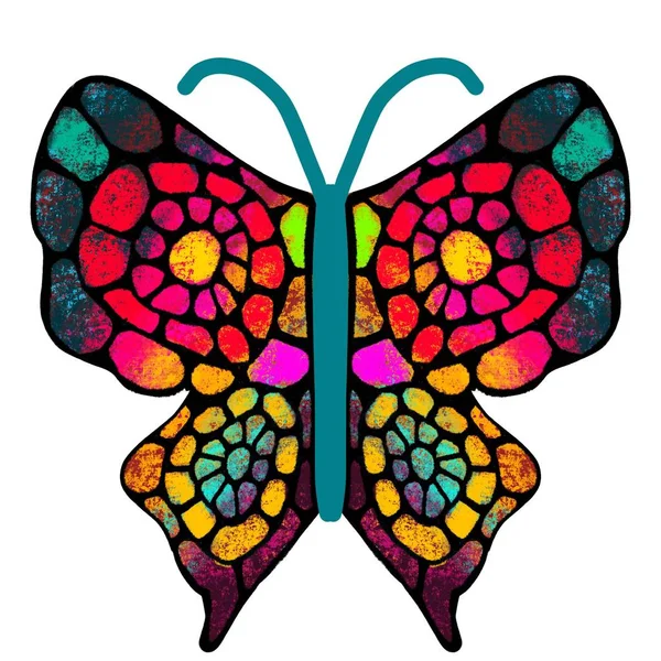 Schmetterling. der bunte, bemalte Schmetterling. Insektenillustration — Stockfoto