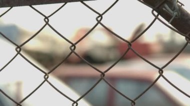 Hurdalıkta ezilmiş eski arabalar istiflenmiş. İkinci el araba hurdalığı ve köpek. Hurdalık. Çöp arabası. Metal. Araba mezarlığı. Hurda arabalar.