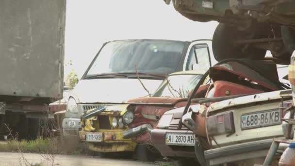 Zmiażdżone Stare Samochody Ułożone Scrapyard Używane Samochody Złomowisko Pies Złomowisku — Wideo stockowe