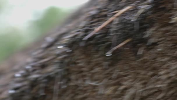 Overdekt Dak Met Regen Regenachtig Weer Dorp Vintage Dak — Stockvideo