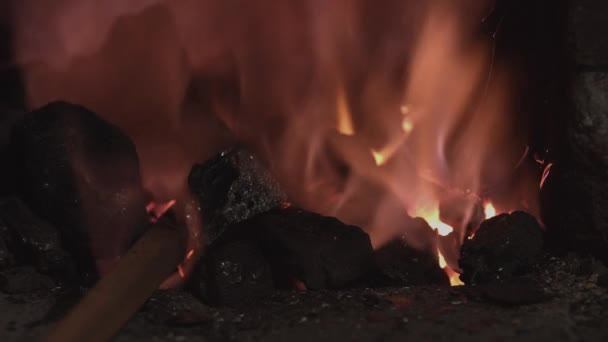 Forja Forgación Metal Fuego Antiguo Oficio Forja Hambre Fuego — Vídeos de Stock