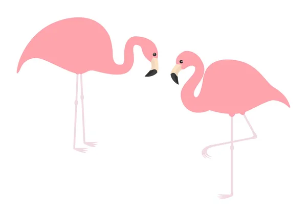 Twee Roze Flamingo Geïsoleerd Witte Achtergrond — Stockvector