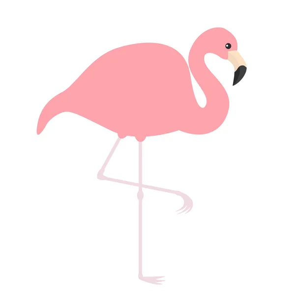 Roze Flamingo Geïsoleerd Witte Achtergrond — Stockvector