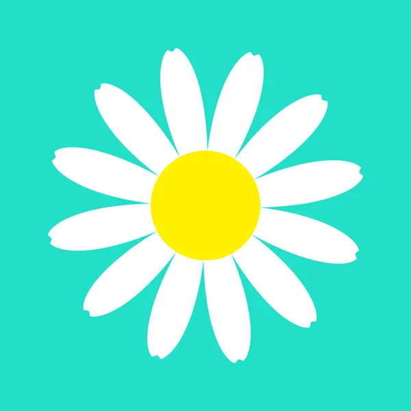 Weiße Gänseblümchen Kamillenblüte Rundes Symbol Auf Blauem Hintergrund — Stockvektor