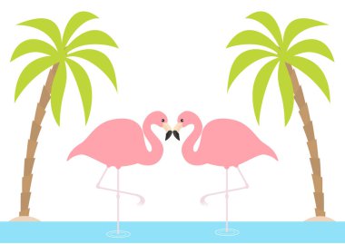 İki tek ayak üzerinde flamingo çift duran pembe. Palms ağaç, ada, okyanus, su bakınız. Egzotik tropik kuş. Hayvanat Bahçesi hayvan koleksiyonu. Sevimli çizgi film karakteri. Kart düz tasarım seviyorum. Beyaz arka plan. Vektör
