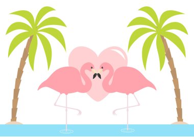 Tek ayak üzerinde iki flamingo duran. Pembe kalp. Palms ağaç, ada, okyanus, su bakınız. Egzotik tropik kuş. Hayvanat Bahçesi hayvan koleksiyonu. Sevimli çizgi film karakteri. Kart düz tasarım seviyorum. Beyaz arka plan. Vektör