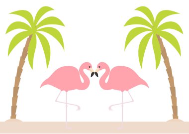 İki tek ayak üzerinde flamingo çift duran pembe. Palms ağaç, ada, sahil kumu. Egzotik tropik kuş. Hayvanat Bahçesi hayvan koleksiyonu. Sevimli çizgi film karakteri. Kart düz tasarım seviyorum. Beyaz arka plan. Vektör