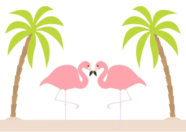 Dos Parejas Flamencos Rosados Pie Sobre Una Pierna Palmeras Isla — Archivo Imágenes Vectoriales