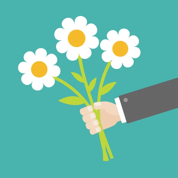 Businessman Hand Holding Bouquet White Daisy Chamomile Camomile Marguerite Flowers — Stock Vector