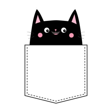 Beyaz arka plan üzerinde izole cebinde kara kedi