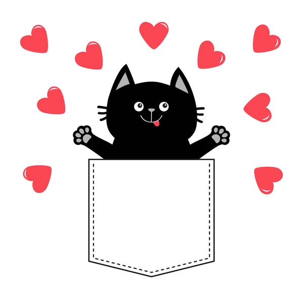 Black Cat Pocket Isolated White Background — Stock Vector