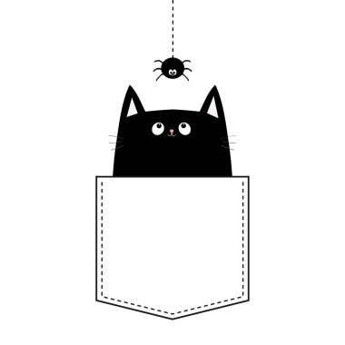 Beyaz arka plan üzerinde izole örümcek ile cebinde kara kedi